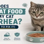 wet cat food