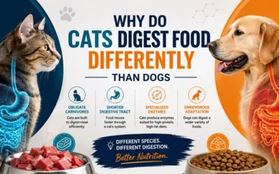 why do cats digest food differently than dogs